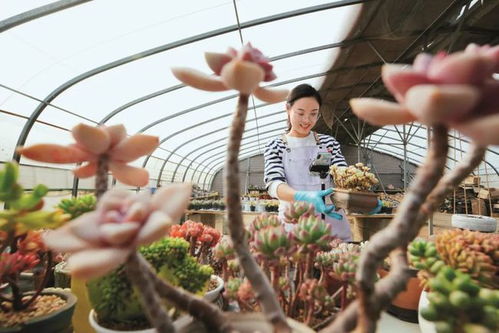 干貨 跨屏傳播對傳統廣告業的影響與挑戰